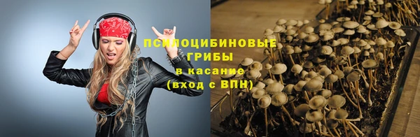 прущий лед Михайловск