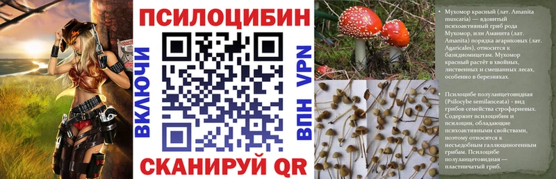 Псилоцибиновые грибы прущие грибы  площадка наркотические препараты  Нюрба  blacksprut зеркало 